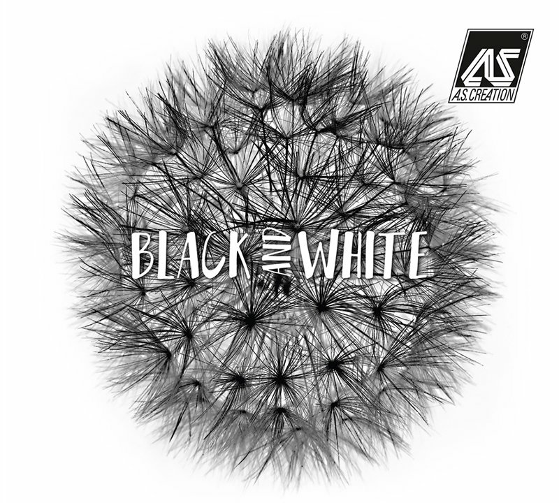 Tapety na zeď z katalogu Black and White 3