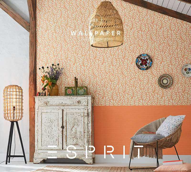 Tapety na zeď z katalogu Esprit 13