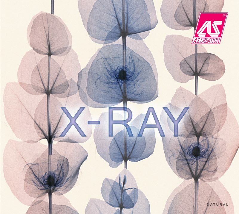 Tapety na zeď z katalogu X-Ray